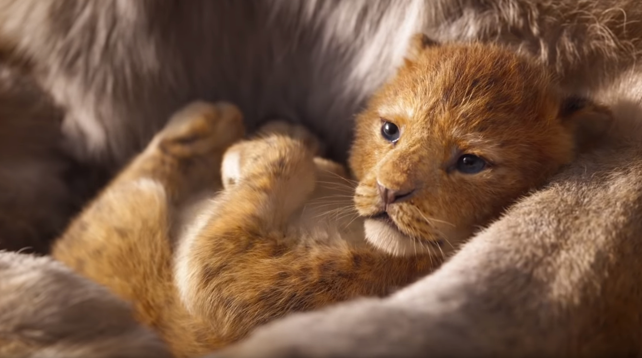 Disney New Lion King Disney